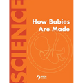 How Babies Are Made