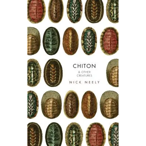 Chiton & Other Creatures