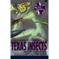 A Field Guide to Common Texas Insects