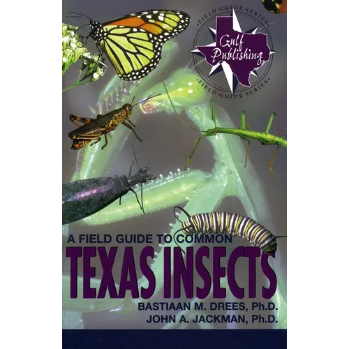 A Field Guide to Common Texas Insects