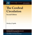 The Cerebral Circulation