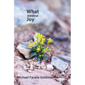 What Minimal Joy