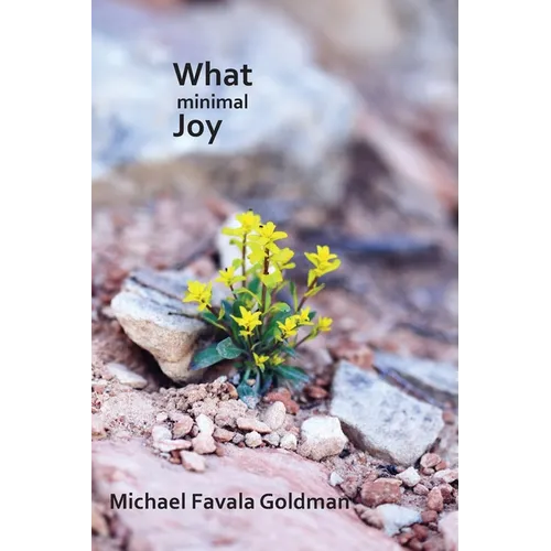 What Minimal Joy