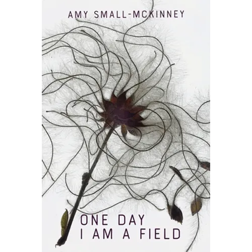 One Day I Am a Field