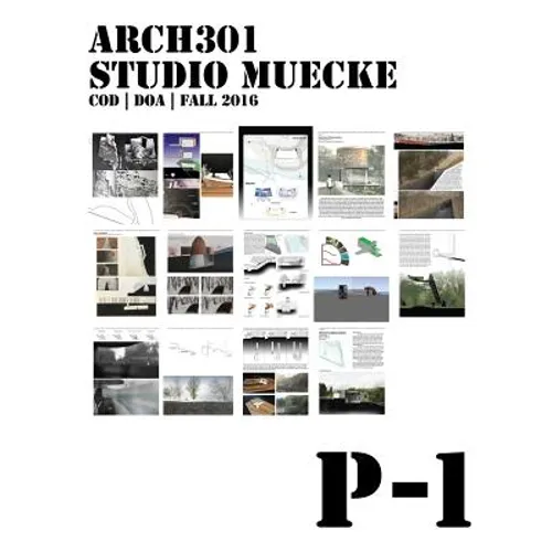 P1: Project 1, ARCH301 Studio Muecke