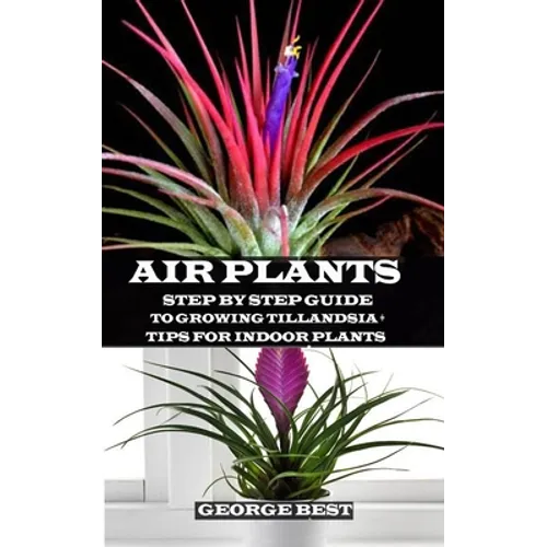 Air Plant: Step by Step Guide to Growing Tillandsia + Tips for Indoor Plants