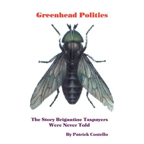 Greenhead Politics: The Story Brigantine Taxpayers Were Never Told