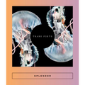 Splendor: Trans Poets