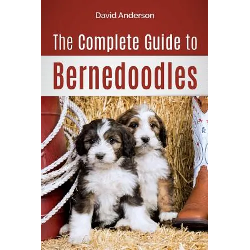The Complete Guide to Bernedoodles: Everything you need to know to successfully raise your Bernedoodle puppy!