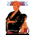 Bleach, Vol. 74: The Death and the Strawberry