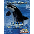 Orca Killer Whale: (Age 5 - 8)