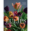 Tulips: Beautiful Varieties for Home and Garden