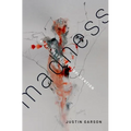 Madness: A Philosophical Exploration