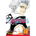 Bleach, Vol. 16: Knight of Wijnruit