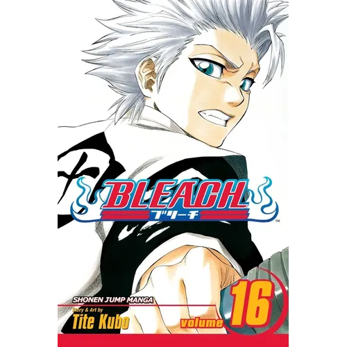 Bleach, Vol. 16: Knight of Wijnruit