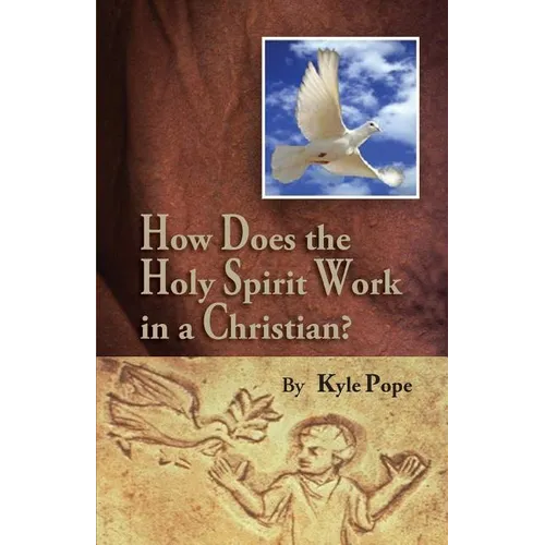 How Does the Holy Spirit Work in a Christian?