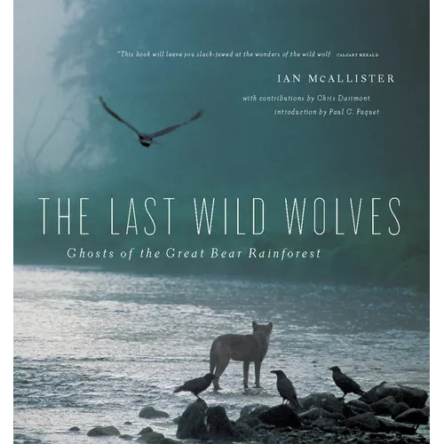 The Last Wild Wolves: Ghosts of the Rain Forest