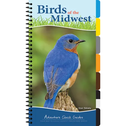 Birds of the Midwest: Identify Backyard Birds with Ease