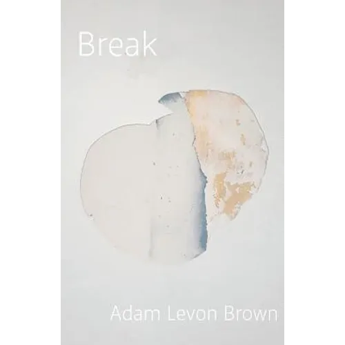 Break: poems on mental illness
