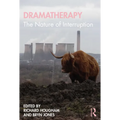 Dramatherapy: The Nature of Interruption
