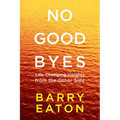 No Goodbyes: No Goodbyes: Life-Changing Insights from the Other Side