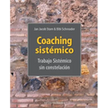 Coaching Sistémico: trabajo Sistemico sin constelacion
