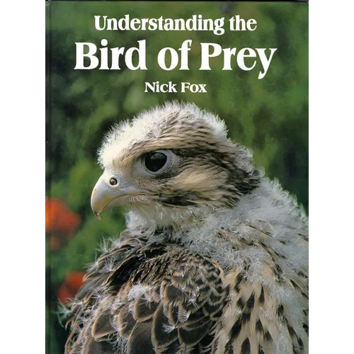Understanding the Bird of Prey
