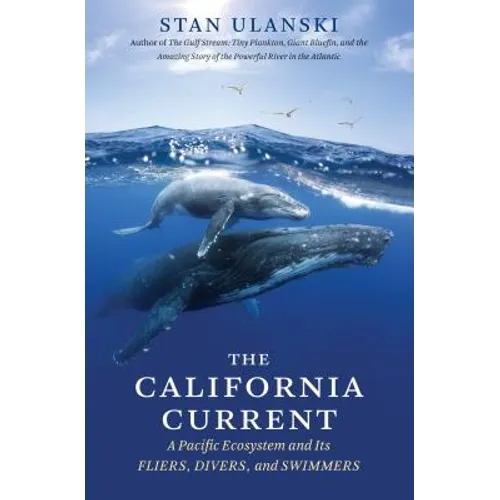 The California Current: A Pacific Ecosystem and Its Fliers, Divers, and Swimmers