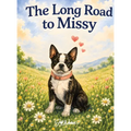 The Long Road to Missy