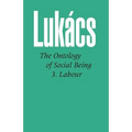 Ontology of Social Being Vol. 3: Labour