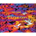 Night Pigeons