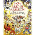 How Much Is a Million?