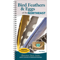 Bird Feathers & Eggs of the Northeast: Identify 40 Species of Common Backyard Birds