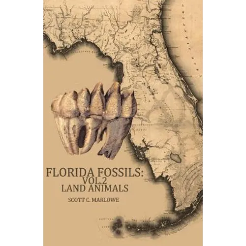 Florida Fossils: Land Animals
