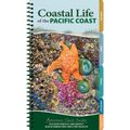 Coastal Life of the Pacific Coast: Discover Tidepools and Identify Beachcombing Finds and Iconic Wildlife