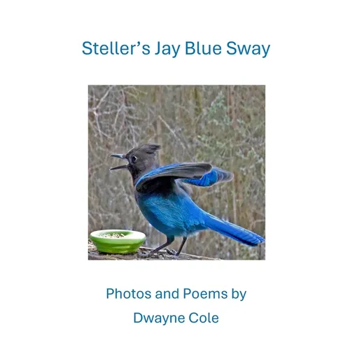 Steller's Jay Blue Sway: Photos and Poems
