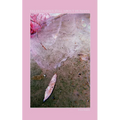 Tales Faeries Tell About Humans