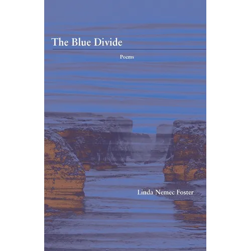 The Blue Divide