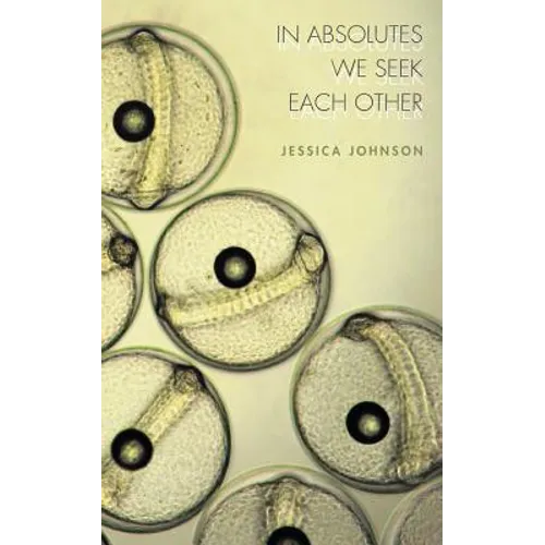 In Absolutes We Seek Each Other