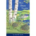 More Dam Trouble