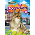 Coyotes