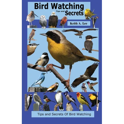 Bird Watching Tips and Secrets