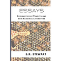 Essays: An Analysis of Traditional and Marginal Literature