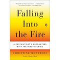 Falling Into the Fire: A Psychiatrist's Encounters with the Mind in Crisis