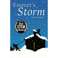 Emmet's Storm