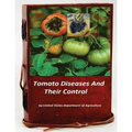 Tomato Diseases And Their Control