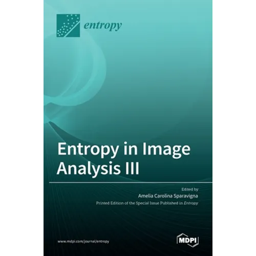 Entropy in Image Analysis III