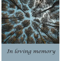 Funeral Guest Book (Hardcover): memory book, comments book, condolence book for funeral, remembrance, celebration of life, in loving memory funeral gu