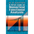 A First Look at Numerical Functional Analysis