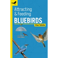 Attracting & Feeding Bluebirds